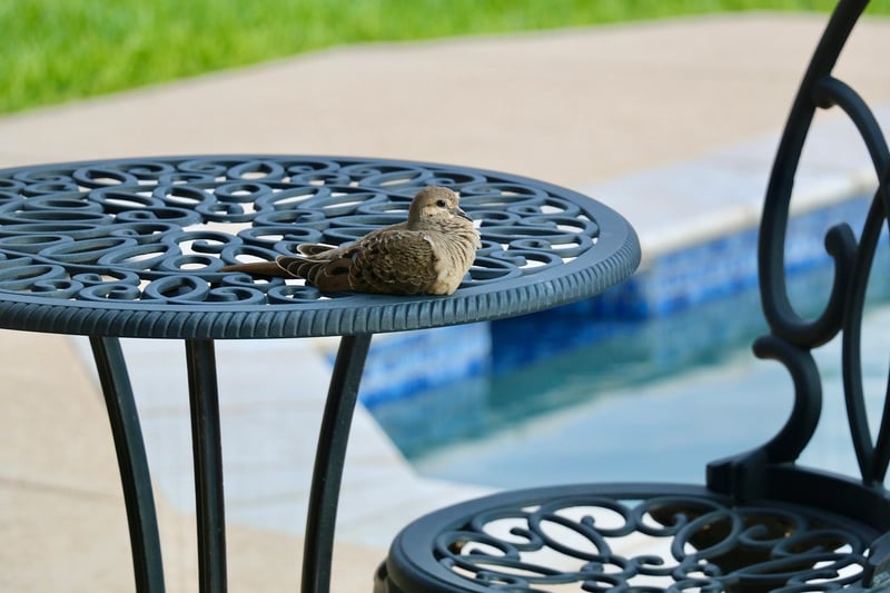 Patio decor projects